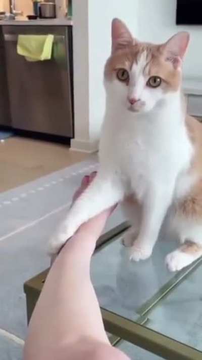 Simon please