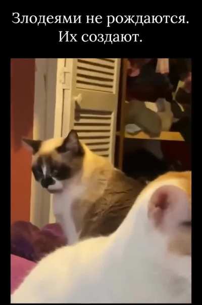 Я буду мстить и мстя моя будет страшна.