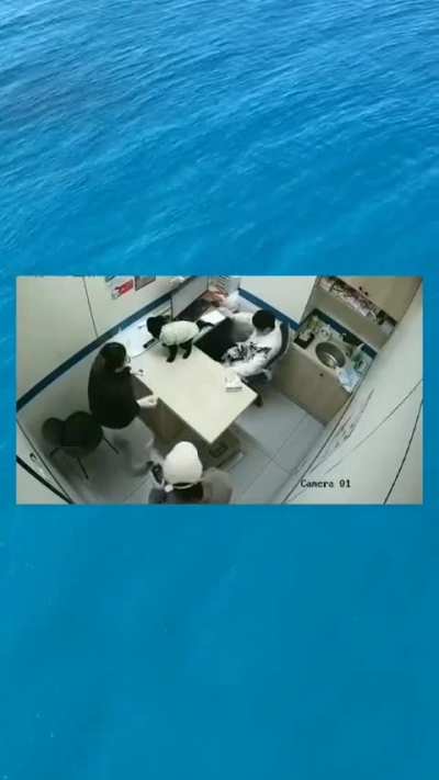 Fuck this veterinary in particular 
