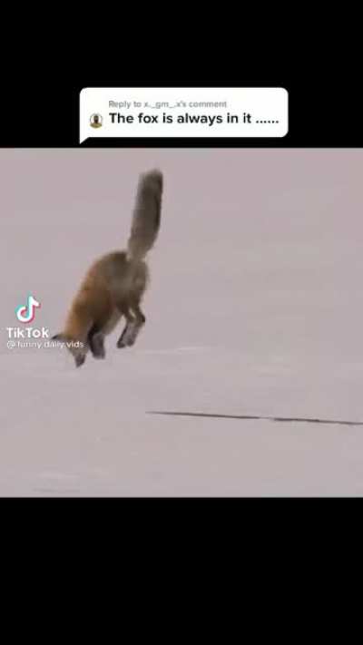 fundy whenever he jumps