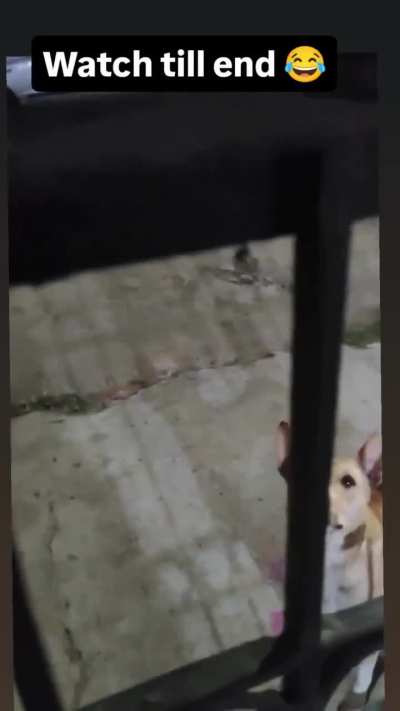 Watch till end 