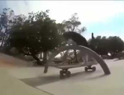 badass cat