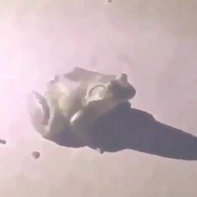 ○●○●○