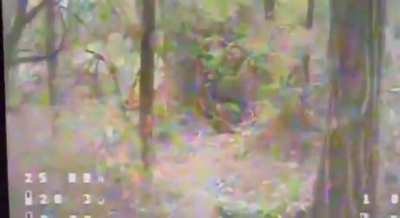 A incredibly skillful drone operator from the "Magyar's Birds" unit navigates through a thick forest and hits a unsuspecting Russian soldier from the back
