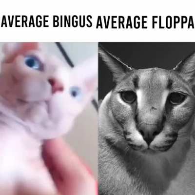 😮😮😮