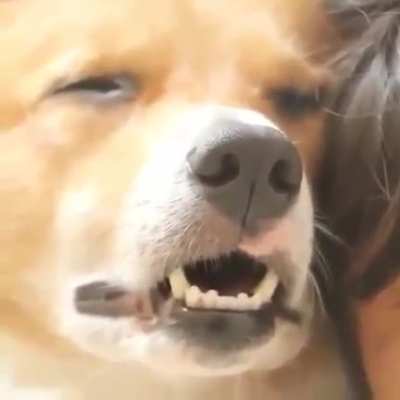 Don't mind me, I'm just sleeping with my human