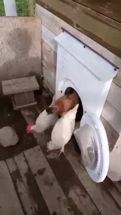 Оцените это