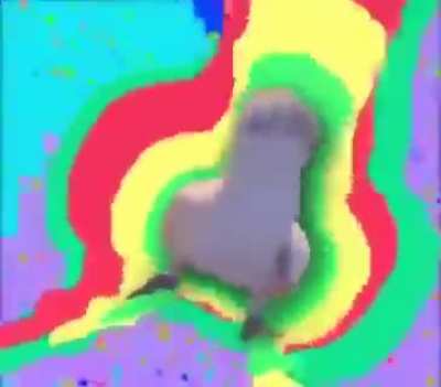 Every so often I remember that I saved this video to my phone years ago