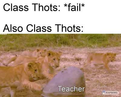 Class Thots be like: "I SUCC at Maths!"