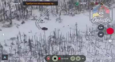 Russian MT-LB vehicle drives into an AT mine, Russian troops are forced to dismount but then are hit by a dropped munition from a Ukrainian drone (Synkivka, Kharkiv Oblast)