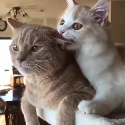 &ldquo;You see what I have to deal with?&rdquo;