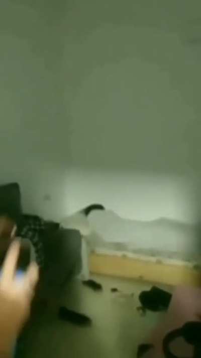 Well, that's one way to wake someone up