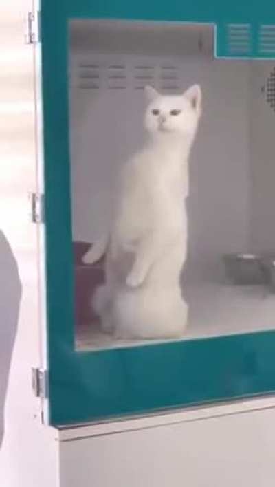 What are you doing, doctor?