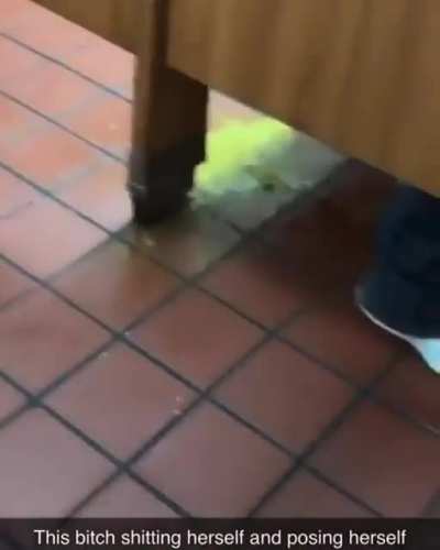 Might&rsquo;ve missed the toilet