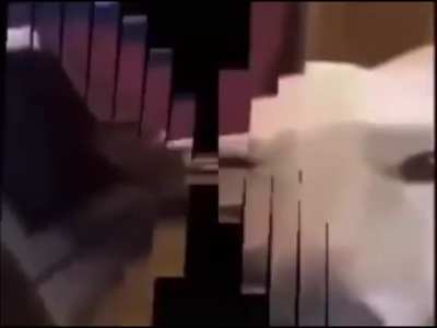 muito bom