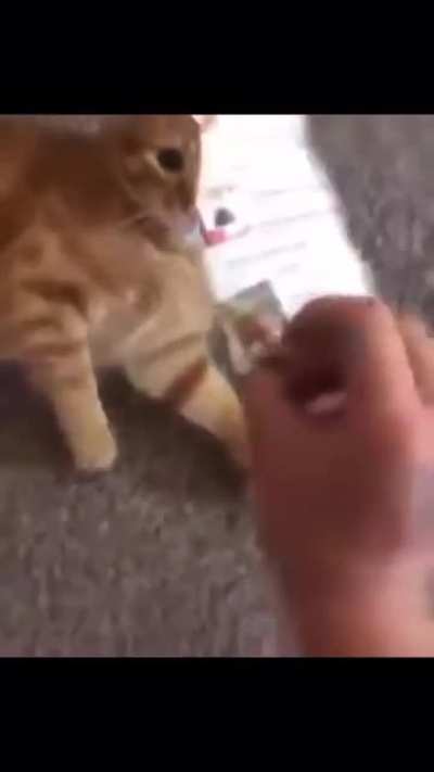 Don&rsquo;t know if this counts but it&rsquo;s funny