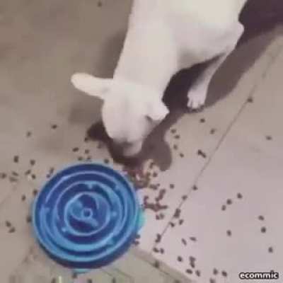 Paci&ecirc;ncia