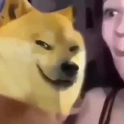 Horni boi