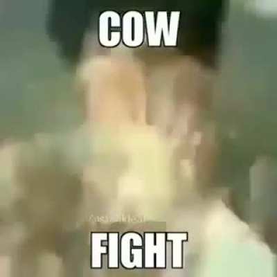 How get milk