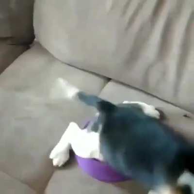Lo re mataban de hambre