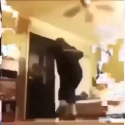 chor&atilde;o anti-furry