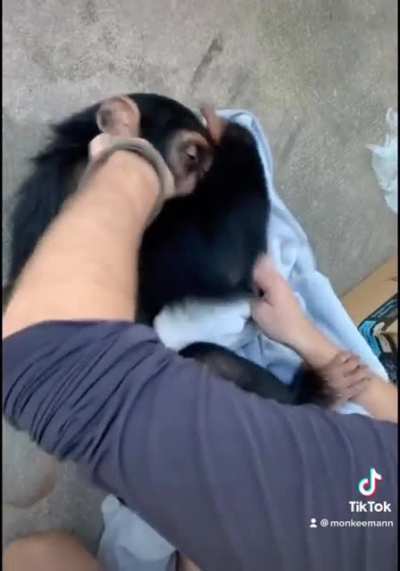 My monke son, isn&rsquo;t he cute?