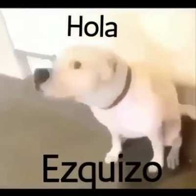 Hola esquizo