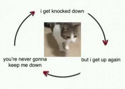 my routine 
