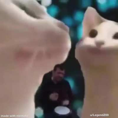 Music to my ear