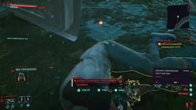 There was a cat fully underwater