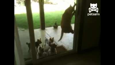 "Ok, everyone inside"