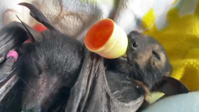 Snuggly bubby&rsquo;s