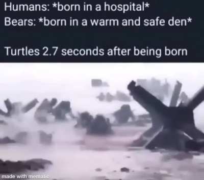 Support the REAL troops