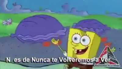No papu :'v