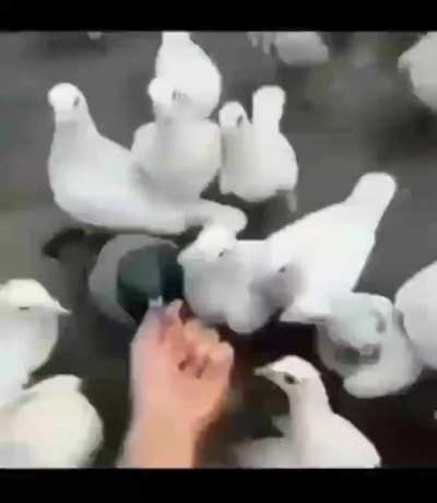 They all look disappointed