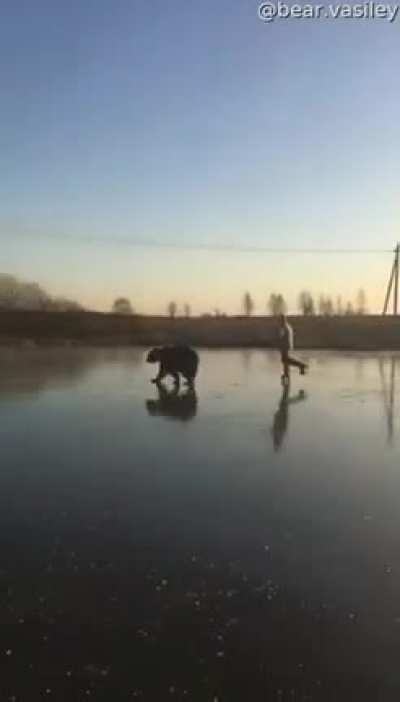 Let&rsquo;s go bear skating