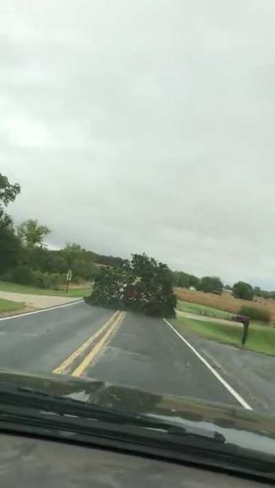 Truck drags a tree down the road