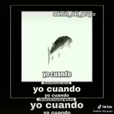 Yo cuando