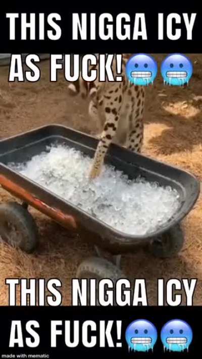 My sincerest apologies if this satirical video of a serval animal is in violation of the third rule provided to us by the totally kind and heterosexual mods