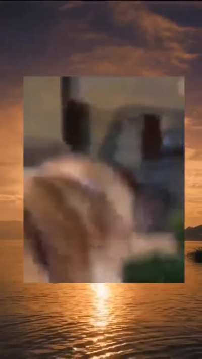 xd