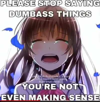 Anime girl crying "please stop saying dumbass things, you're not even making sense"