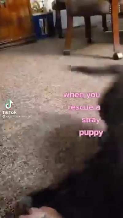 How could you have possibly made that mistake