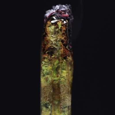 Captivating and oddly calming - weed being slowly burned