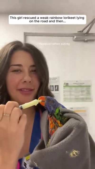 Lorikeet logic: You saved me, now here&rsquo;s my entire contact list.