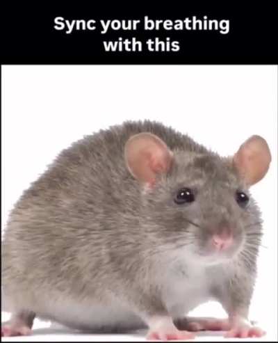 Where post