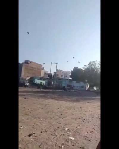 The Crow Man!!?!!