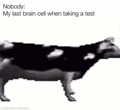 *dancing polish cow intensifies*