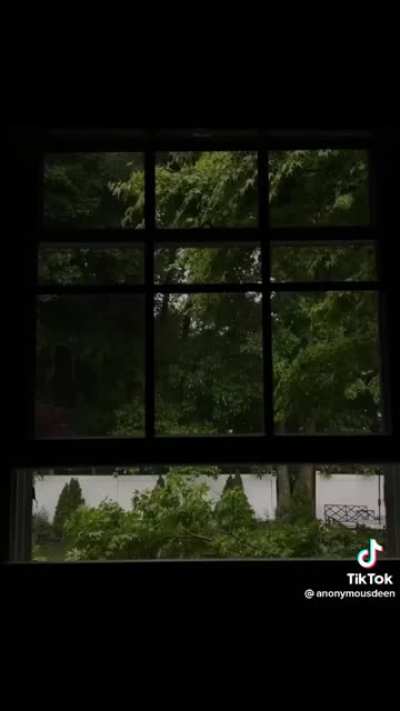 Reciters/Qaari like the one in the video?