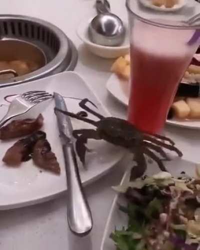 I don&rsquo;t give a crab