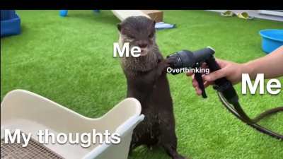 well, i&rsquo;m at least trying